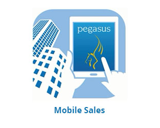 Pegasus software products inc